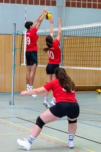 Spielerinnen der Turngemeinde Landshut blocken beim Volleyballspiel als Team in einer Sporthalle.