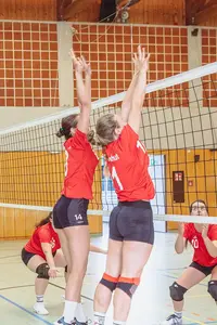 Spielerinnen des Vereins in roten Trikots blocken einen Volleyball am Netz in einer Turnhalle.