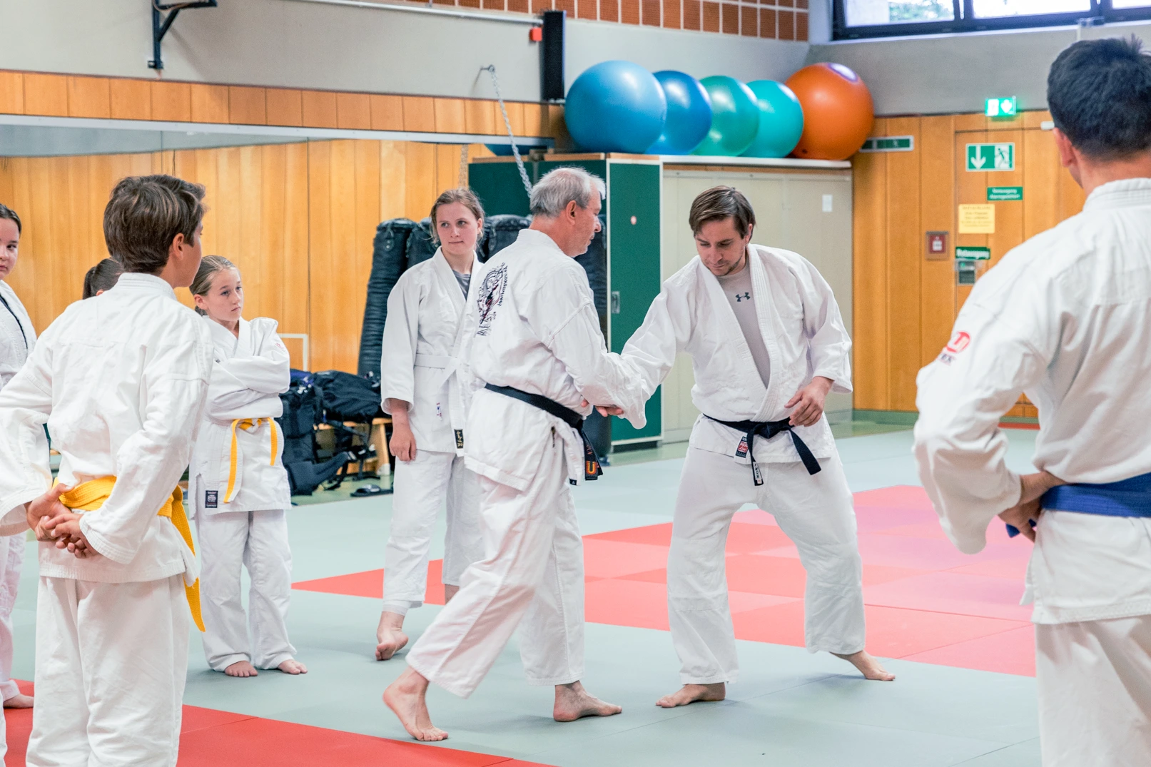 In der Turnhalle der Turngemeinde Landshut üben Judokas im Verein eine Grifftechnik.